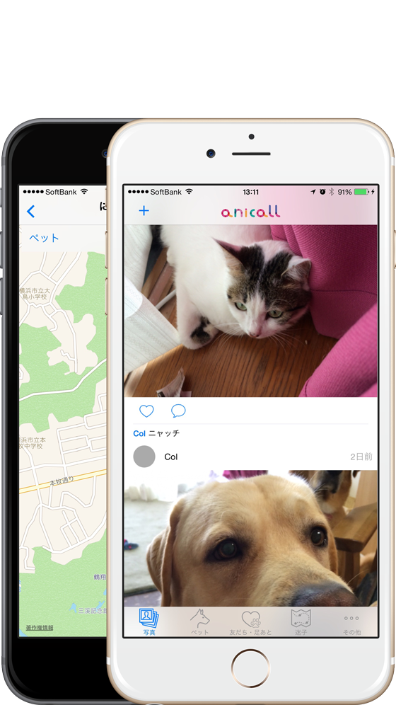 ペットたちとの新しい関係を もっと楽しもう Anicall アニコール